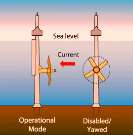 Axial Flow Marine Turbines