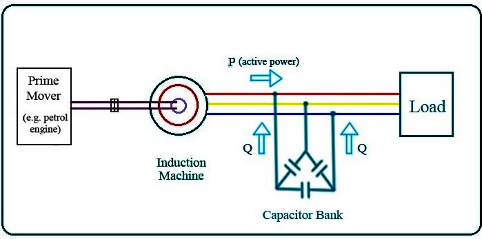 Self-Excited Induction Generator.