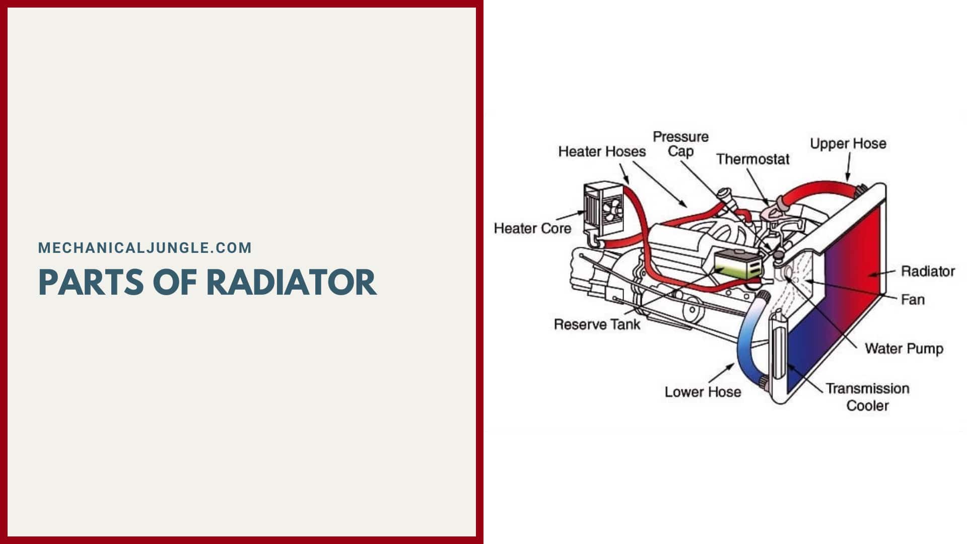 Parts of Radiator