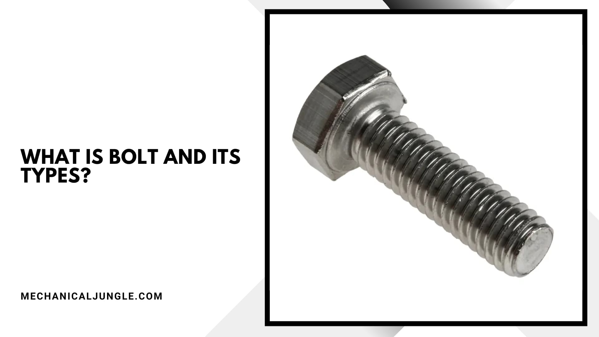 What Is Bolt and Its Types?
