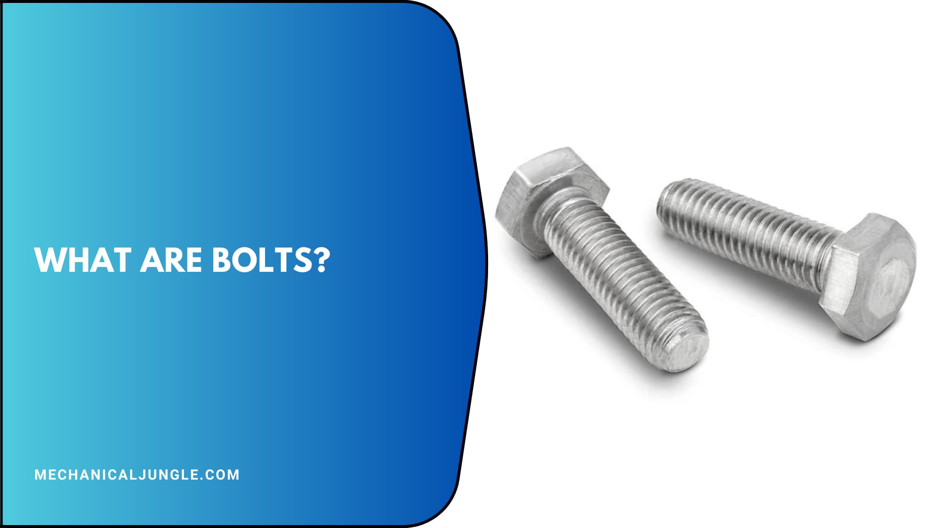 What Are Bolts?