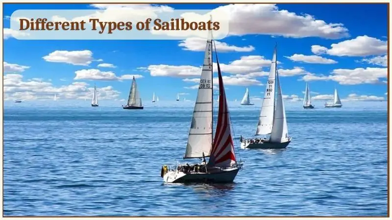Different Types of Sailboats