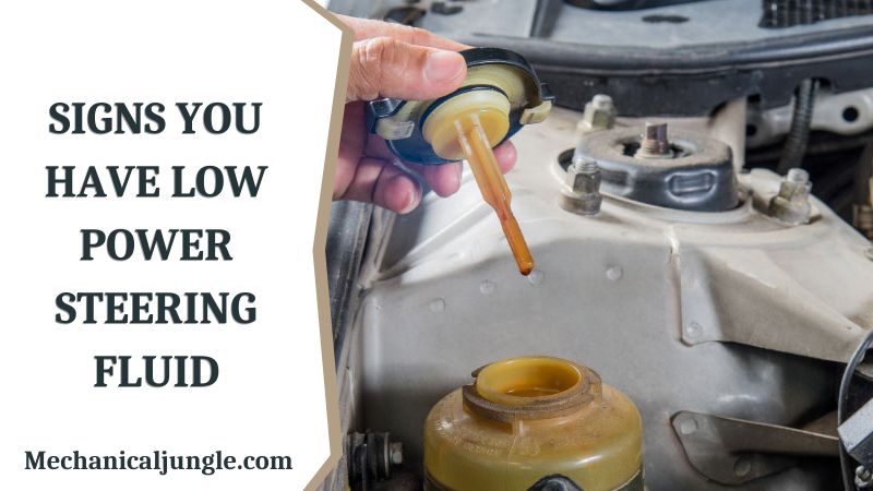 Signs You Have Low Power Steering Fluid 