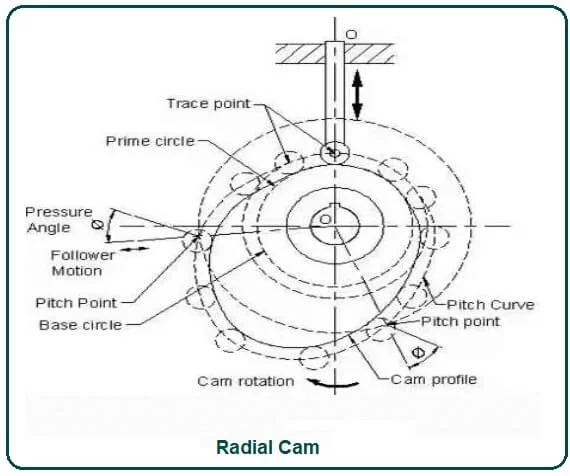 Radial Cam