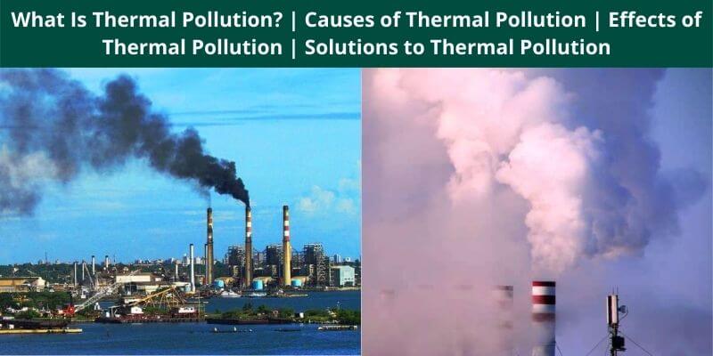What Is Thermal Pollution Causes of Thermal Pollution Effects of Thermal Pollution Solutions to Thermal Pollution