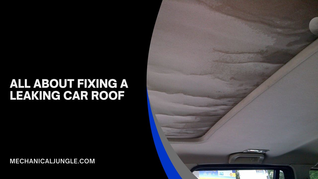 All About Fixing a Leaking Car Roof