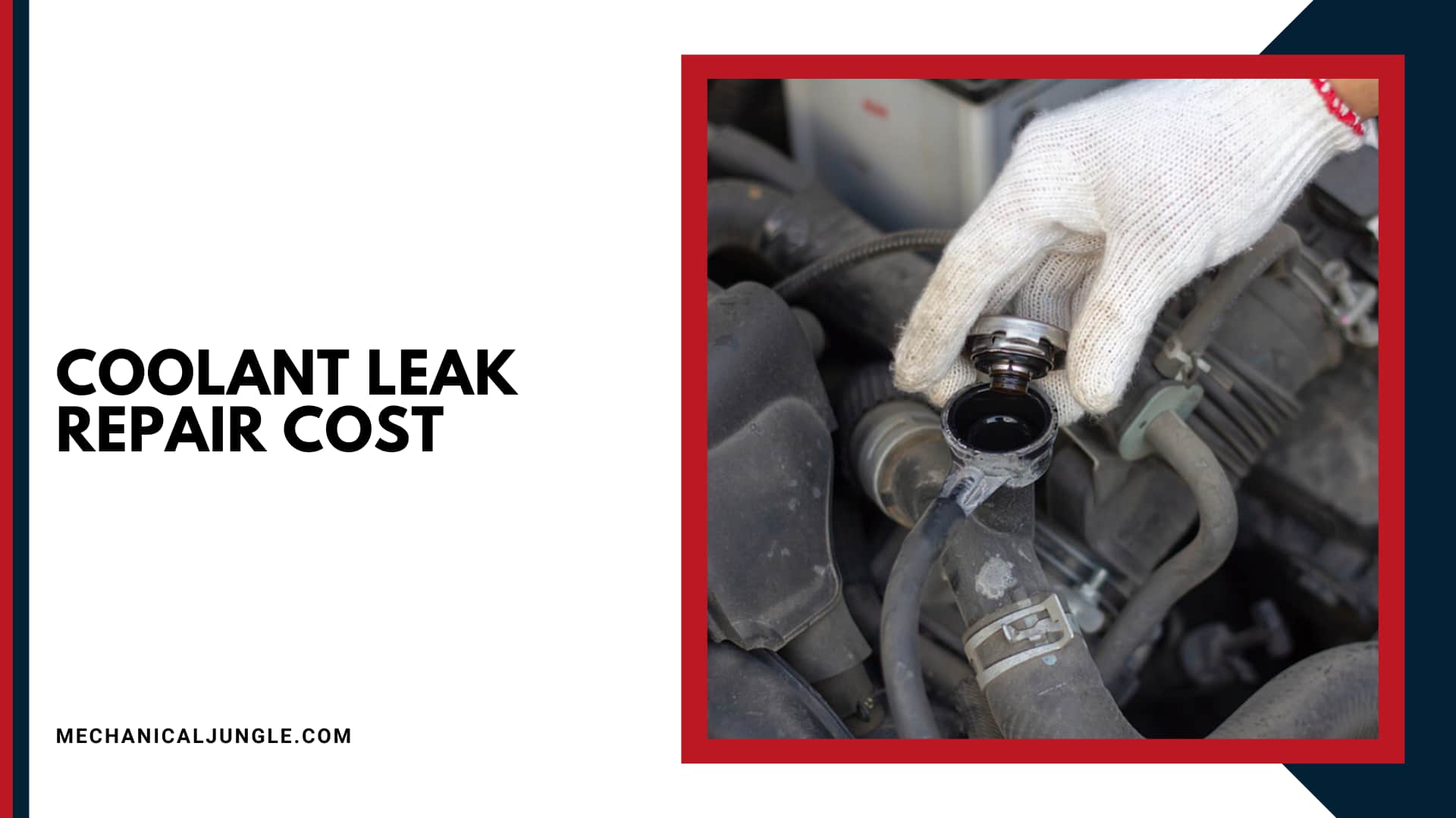 Coolant Leak Repair Cost