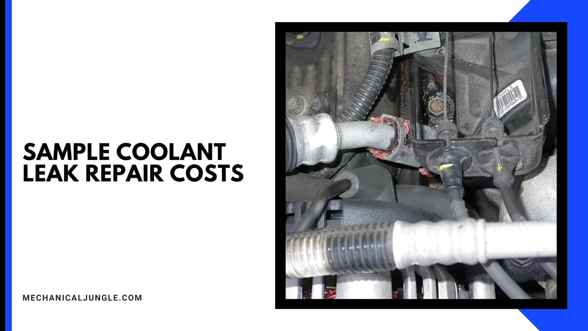 Sample Coolant Leak Repair Costs