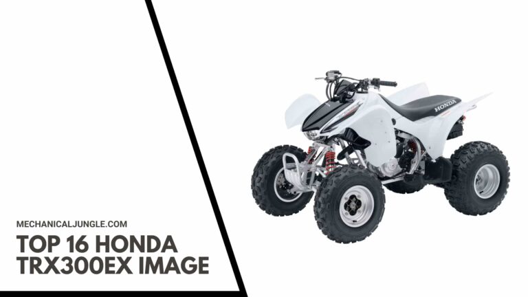 Top 16 Honda TRX300EX Image
