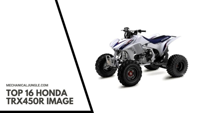 Top 16 Honda TRX450R Image
