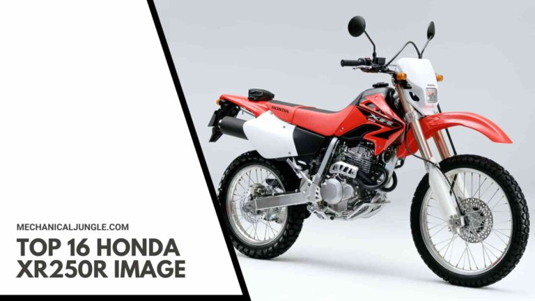 Top 16 Honda XR250R Image